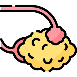 bartholin cyst bartholin cyst