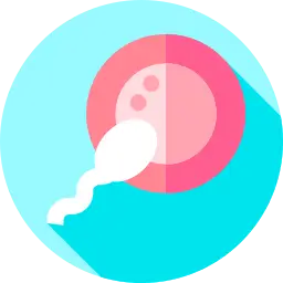 egg donation egg donation