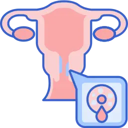 Menstrual Disorders Menstrual Disorders