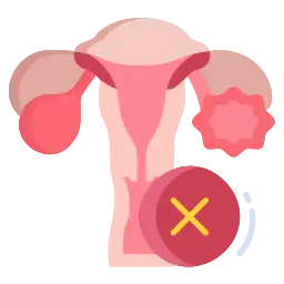 Female Urinary Tract Female Urinary Tract