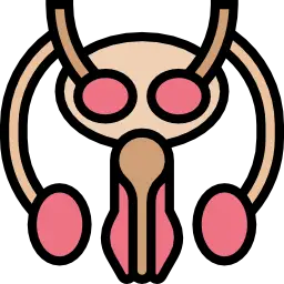 uterine fibroid uterine fibroid